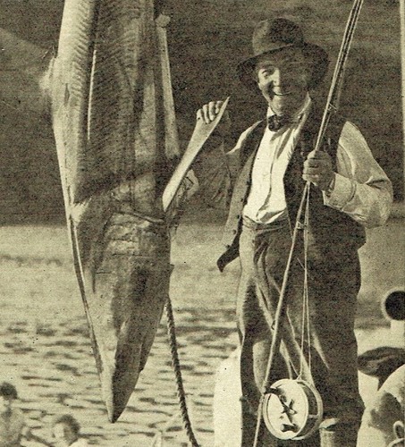 Sir harry lauder mako - sir,