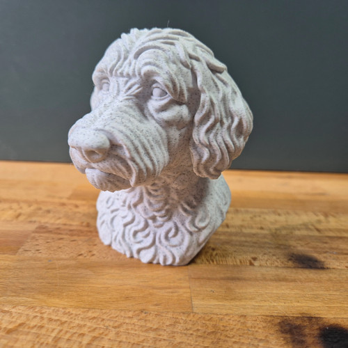 Labradoodle bust - labradoodle,