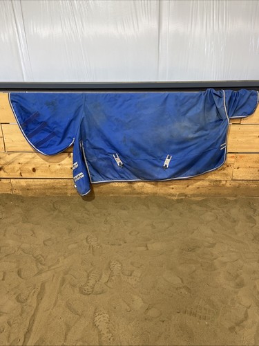 Schneider quarter horse - schneider,