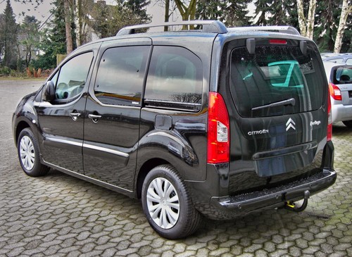 Citroen berlingo sloping - berlingo, dog
