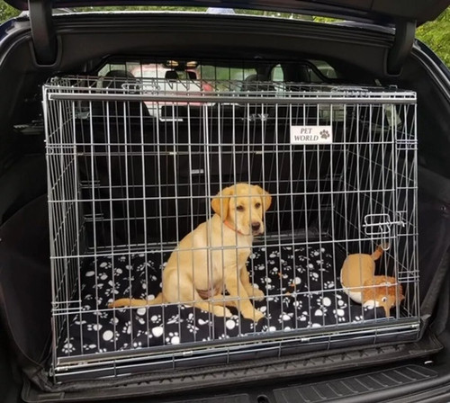 Bmw dog travel cage - dog, –
