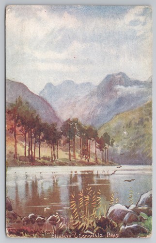 Postcard antique edwardian art - antique,