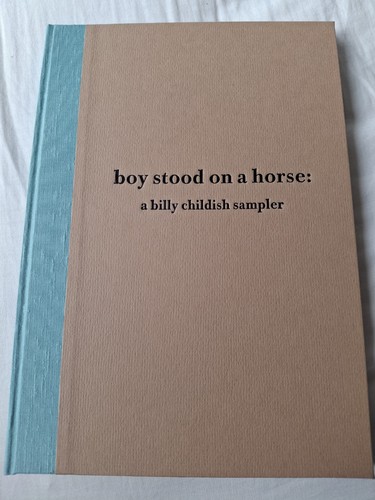 Boy stood horse - on, a