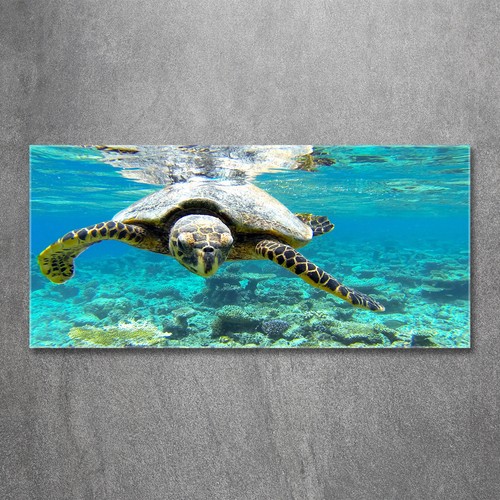 Glass picture wall art - , print