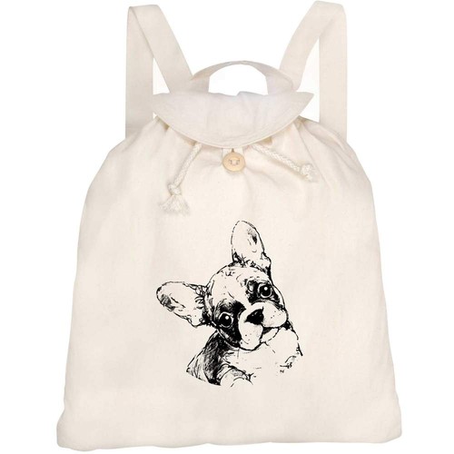 Cute french bulldog puppy - 'cute,