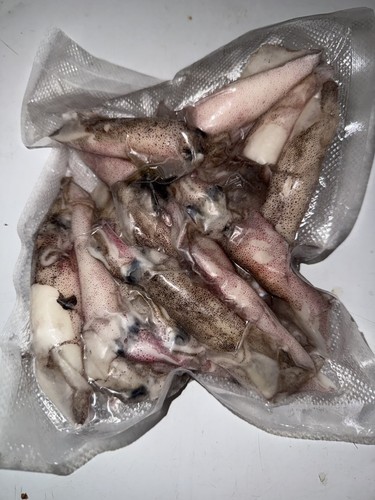 Packs dirty squid - packs, /