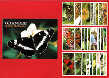 BRITISH BUTTERFLIES -