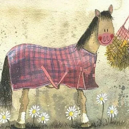 Horse daisies new - horse, coat