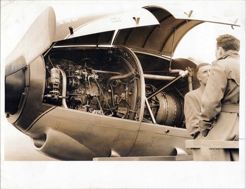 Vickers varsity elands napier - varsity,