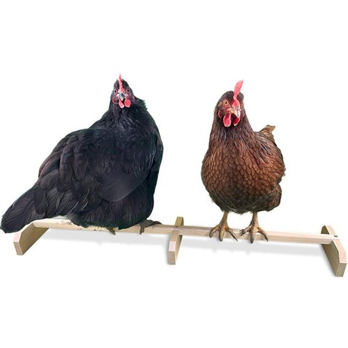 Wooden chicken perch chick - perch,