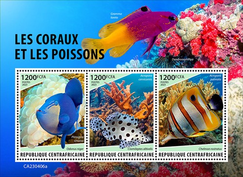 Corals fishes - &,