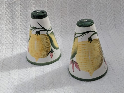 Salt and pepper pots hand - pepper,