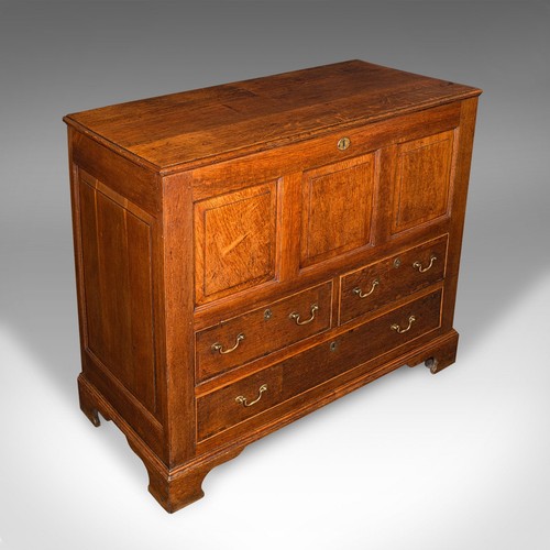 Large antique mule chest - large,