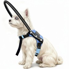 Adjustable Blind Dog Halo