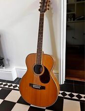 Acoustic Guitar (Freshman)