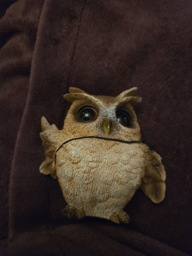 Lovely little owl garden - lovely,