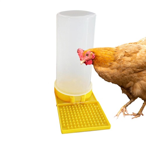 Large capacity quail - large,