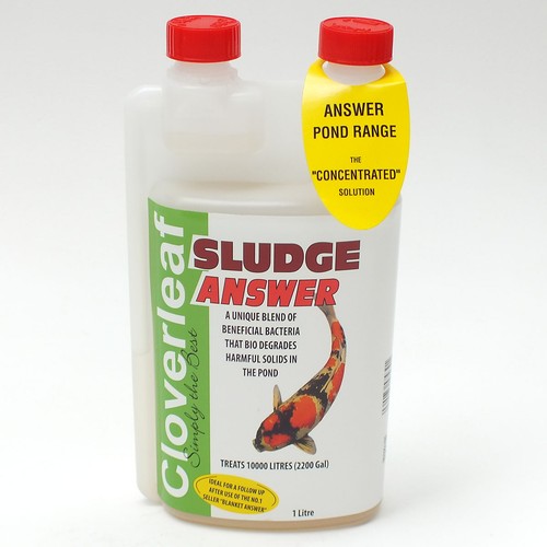 Cloverleaf sludge answer - sludge,