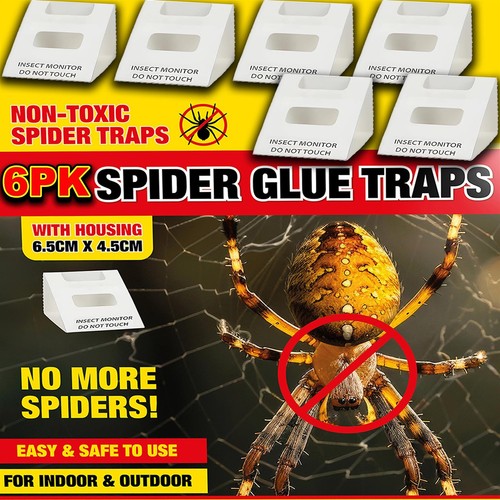 Spider killer traps - spider,