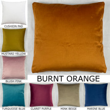 Premium Plush Velvet Cushion