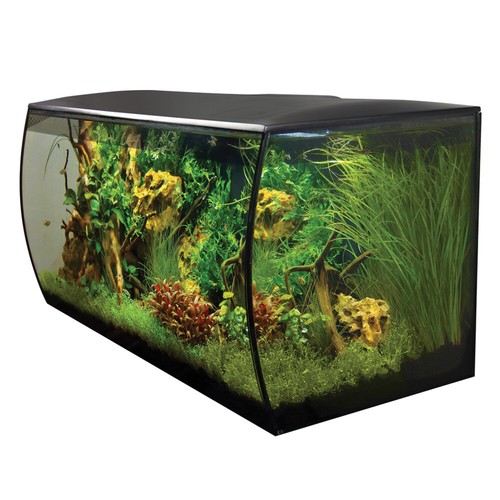 Fluval flex 123 - 123, aquarium