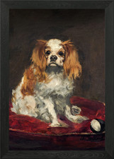 A King Charles Spaniel Framed