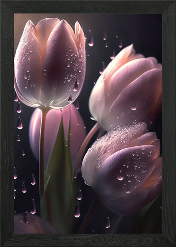 Tulips flowers framed - tulips,