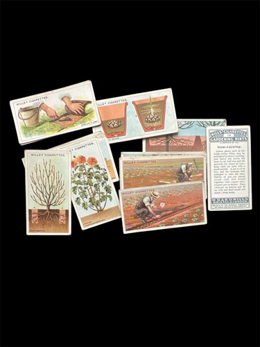 Wills cigarette cards - wills,