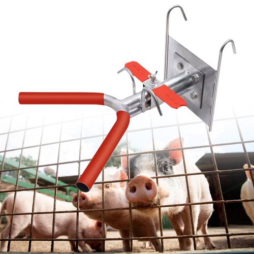 Livestock instrument - instrument,