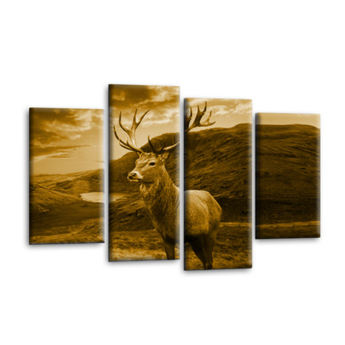 Highland scottish stag wall - highland,
