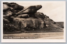 Postcard Toads Mouth Head