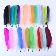 Dyed Goose Feathers 26 Colours, DIY Costume Craft Accessory Hat 15-20cm/6-8"