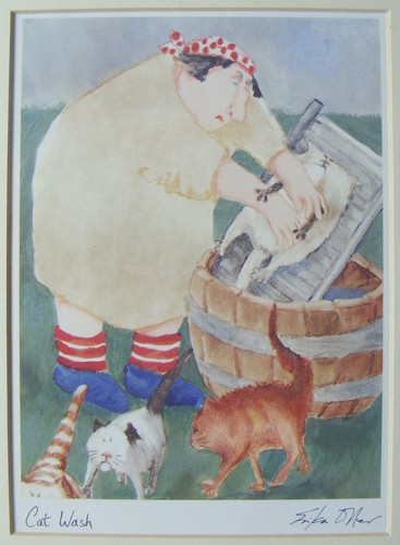 Cat wash erika - erika,