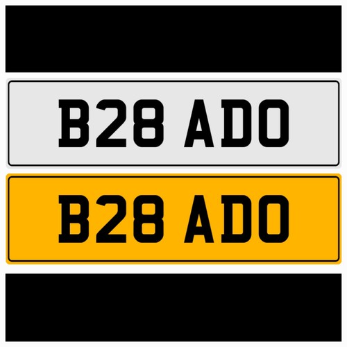 B28 ado brad bradley - brad, brodie