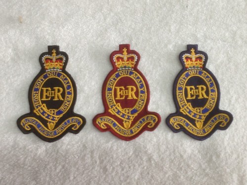 Royal horse artillery - horse,