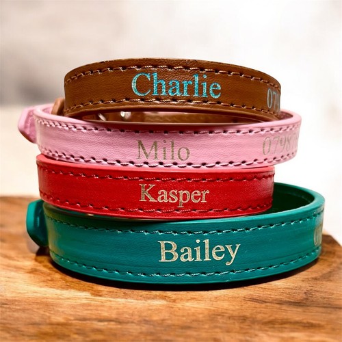 Personalised dog collar - personalised,