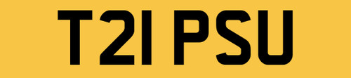 Trips you number plate tips - number,