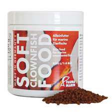 Fauna Marin Soft Clownfish