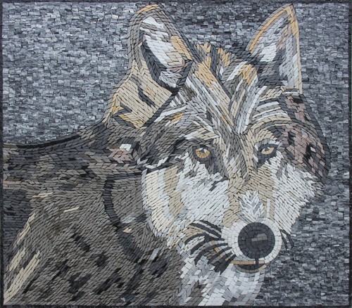 Dark wolf with beautiful - wolf,