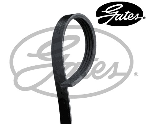 Ribbed belt fits bmw - belt, fits: