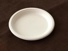 Strong Biodegradable Bagasse