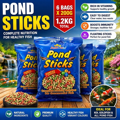 Koi goldfish pond - goldfish, sticks