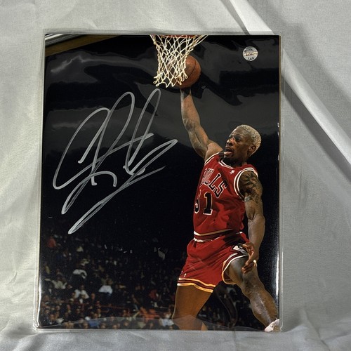 Dennis rodman chicago bulls - chicago,
