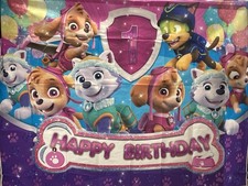 Paw Patrol Skye And Everest