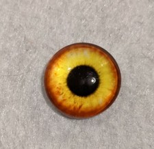 Amber/yellow glass cabachon eyes great for taxidermy, needle felting, toy making