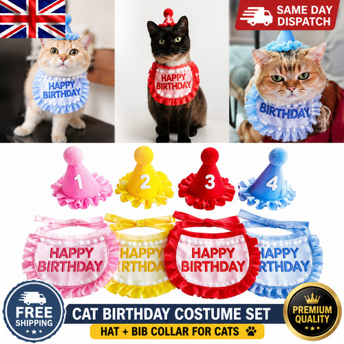 Pet birthday party - pet, cat