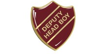 Deputy Head Boy Gel Domed