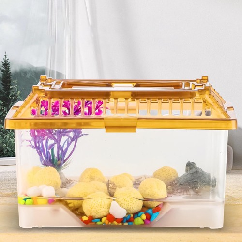 Small turtle tank - turtle,