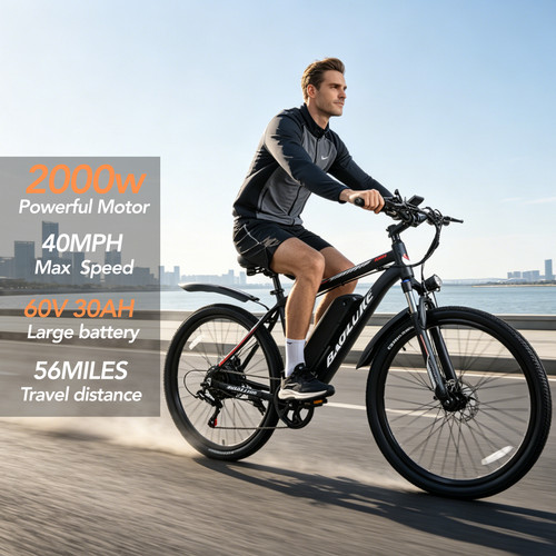 2000w electric bike - 20, fat