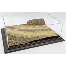 Atlantic Display Cases 1:18